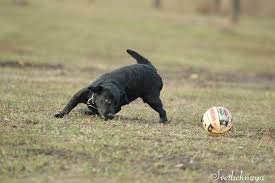 images (93)