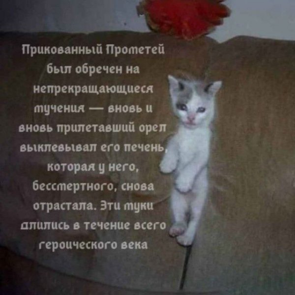 picture_411755295
