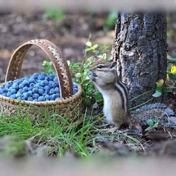 IMG 20180625 214424 0