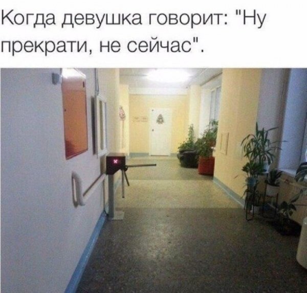 Jumor-v-kartinkah-i-memah-dlja-podnjatija-nastroenija-5