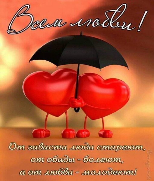 FB IMG 1613280810344