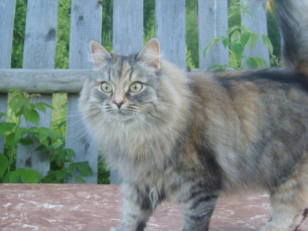 IMG 20140704 211910 17