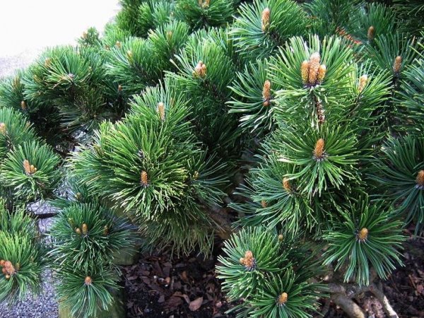 e11da41a1102308d22034d6f1d89