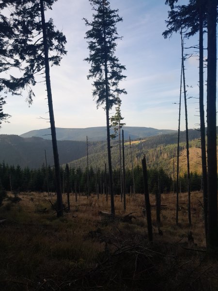 picture_399865001