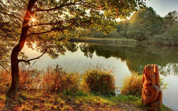 D16a85b924f9fd91ae1496d7ddf504a1