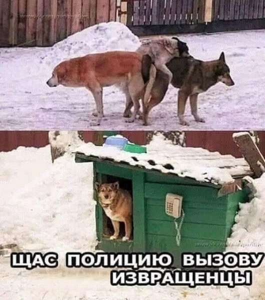 F7B19C5F221F2F