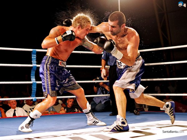 boxing-0v2267415527