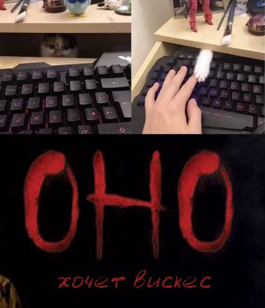 IMG 20260422 182035 456