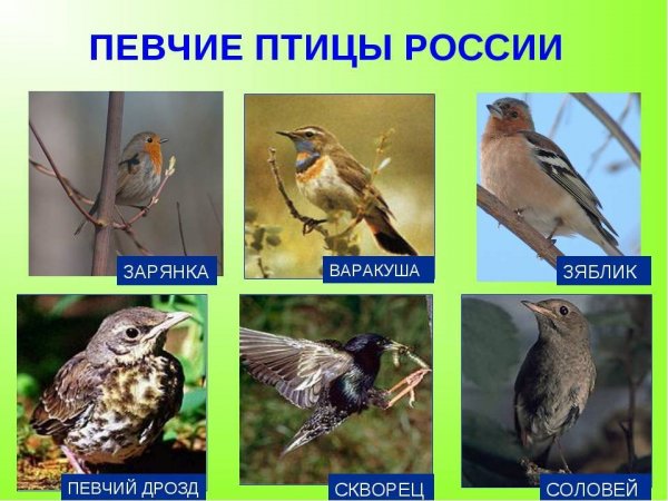 )))