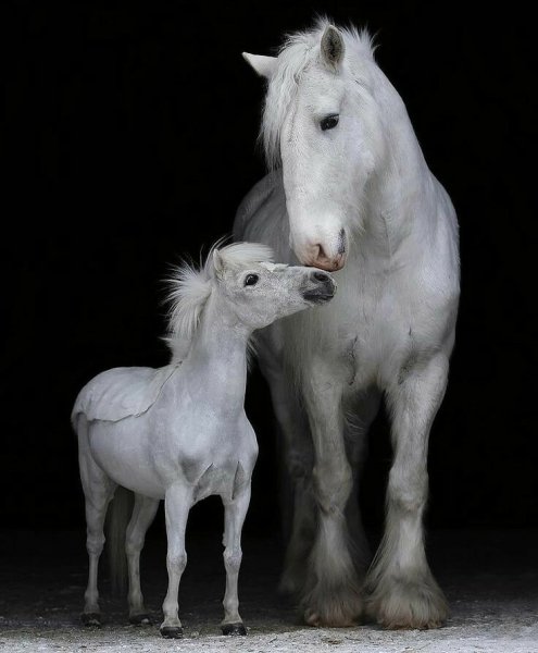 image (3) - 2020-09-06T215618.696