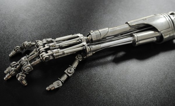 The Terminator Fingers 510613