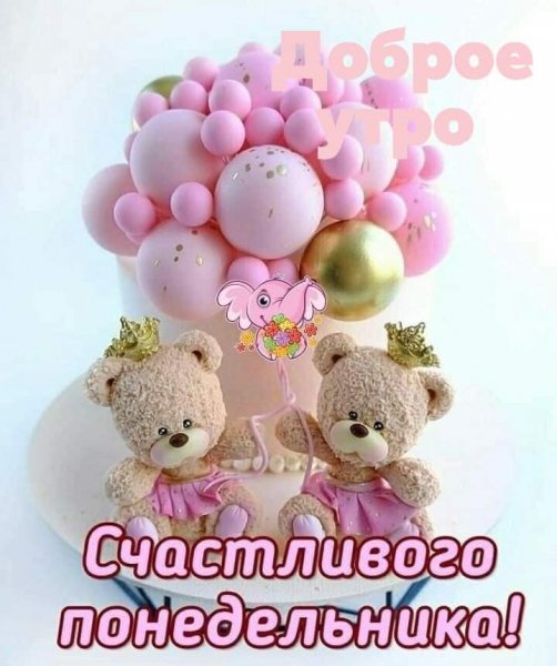 FB IMG 1610340593734