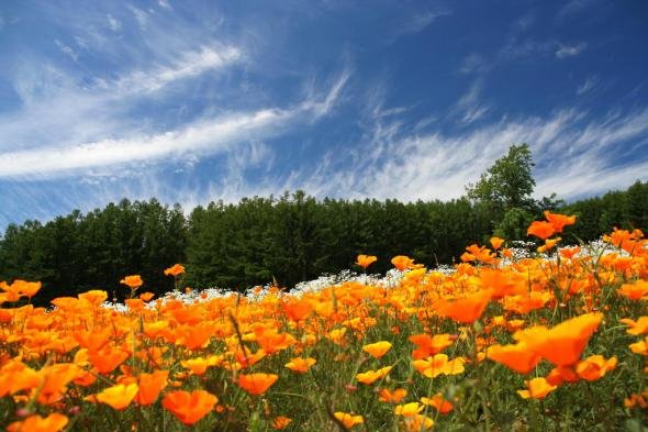 c25170894c9f105d8aa2d4c7067 prev