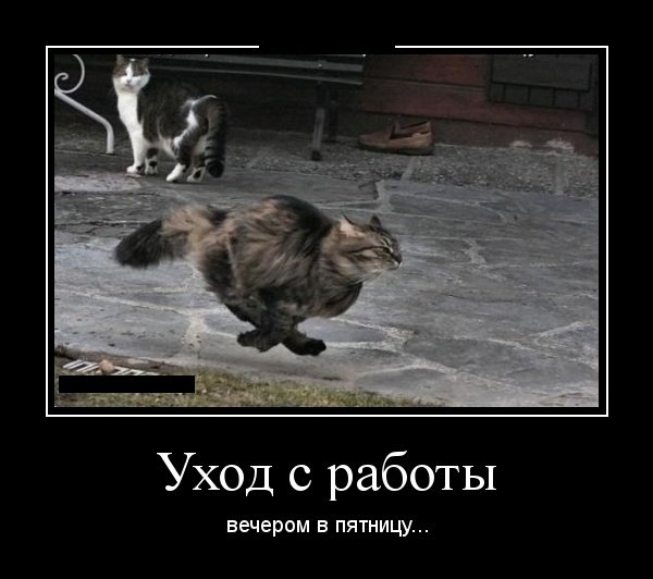 picture_232969633