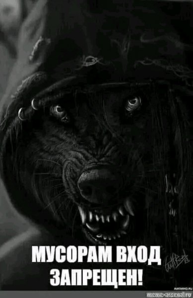 IMG 16951782304305993