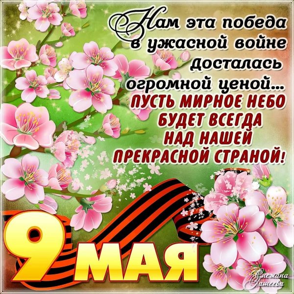 IMG-20200509-WA0002