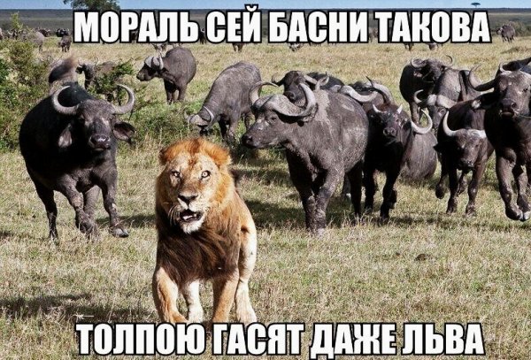 приколы 162947