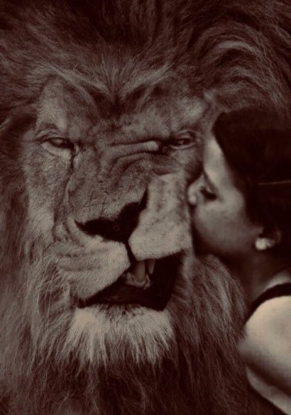 e9b3d44a5487e7298d57a85