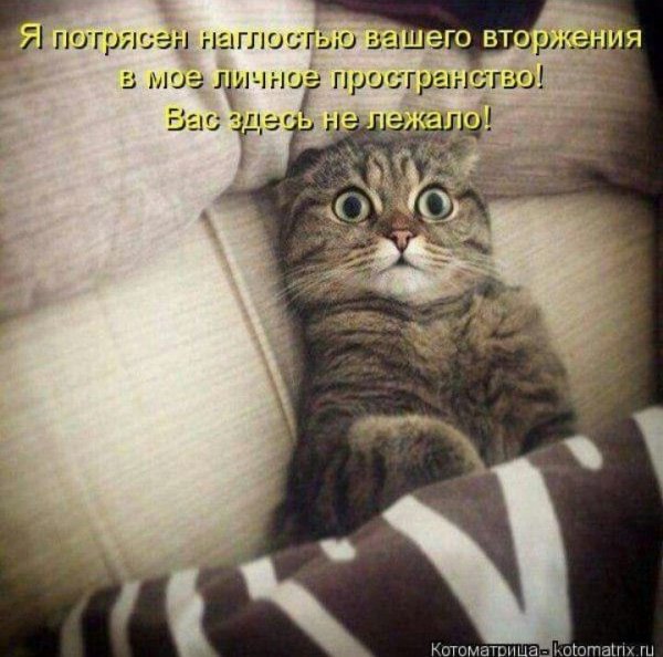 A09d63adc5f22ef6a590432a379a5a2d