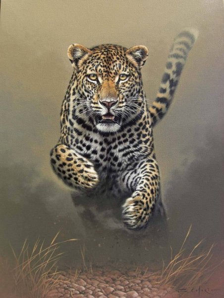 7e84848af1af5639bd4721e2160b79a9