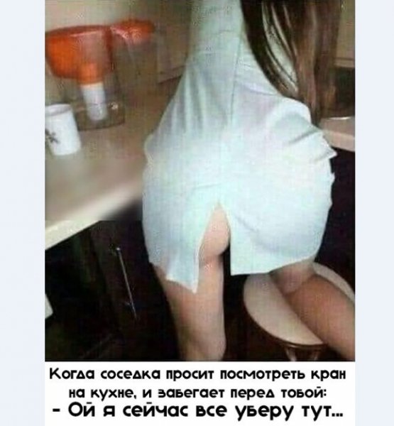 picture_289885995