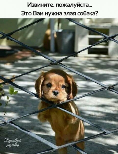 FB IMG 15478951505219173