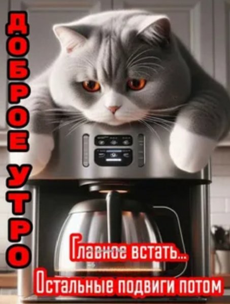 Да! ))
