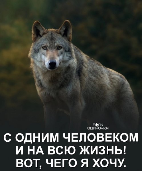 От нуля и до гробовой доски