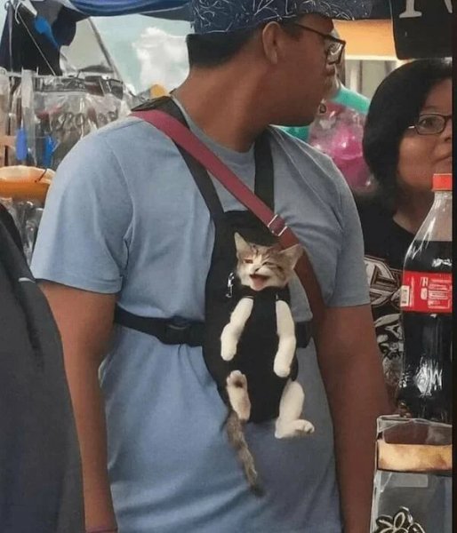 Meshanina-kartinok-04