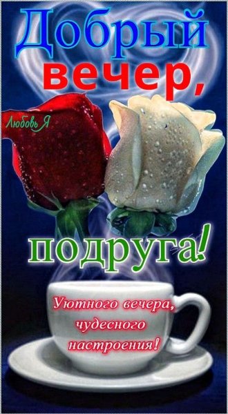 Добрый вечер, подруга!