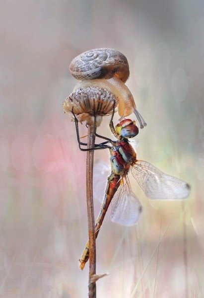 FB IMG 1622489332337