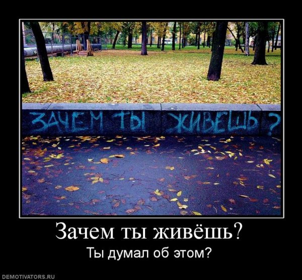 pics