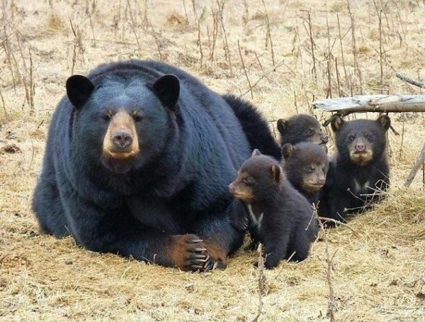 на прогулке