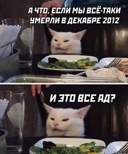 86b0d7492a 20582475