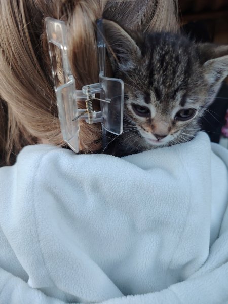 picture_394392892