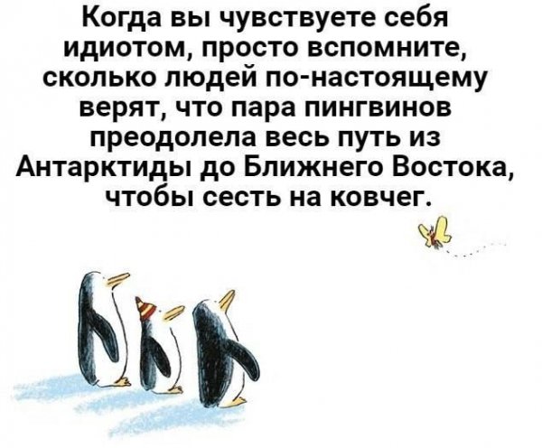 Пингвины путешественники