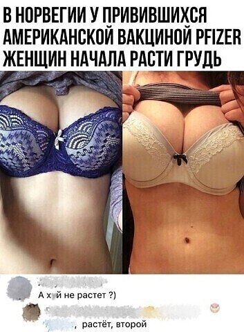 Юмор