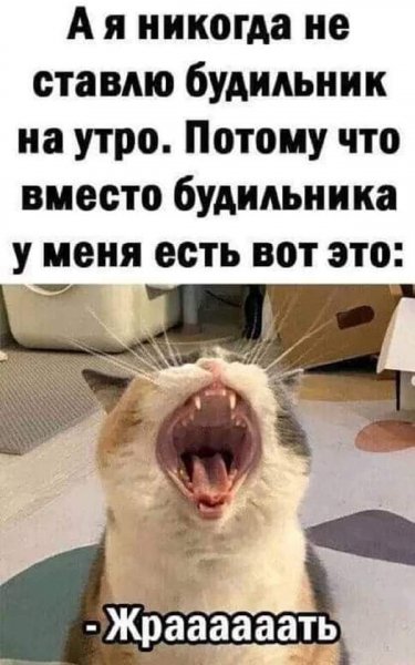 Я не ставлю будильник потому что