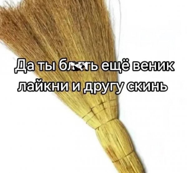 picture_411754949