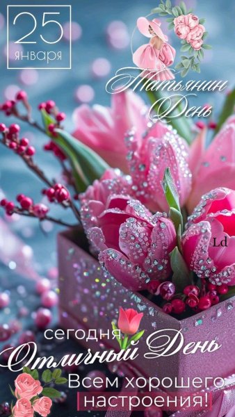 E8cc16086708e38fb17678194d4392fc