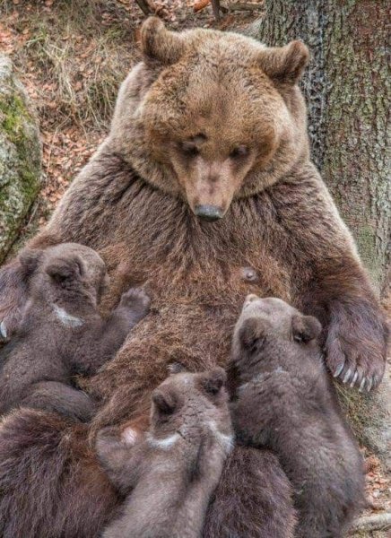 fd7791cd0e898b7410b6c9aba23b7