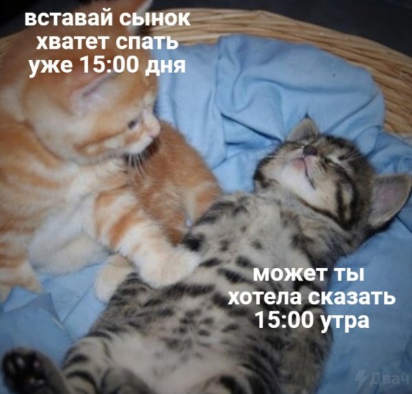 Опаньки!