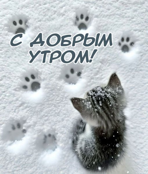 f3b283e71ead796de5e2d90f97893