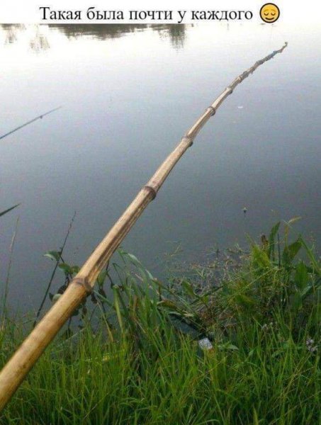 A82F4E3E-0E9C-498F-A3F2-17C0ECE2F099