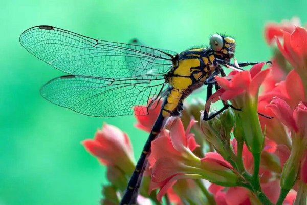 e4d7b3b6cbeead79ab348ab6c2c