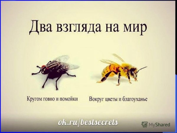 GFxErxophb8