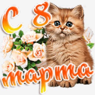 1-s 8 marta