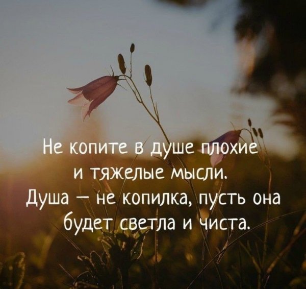 Светла и чиста