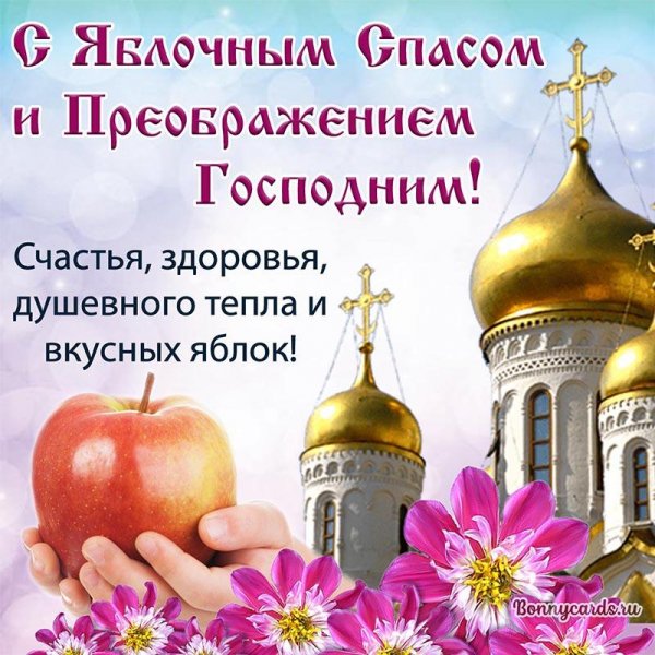 IMG-20240819-WA0022