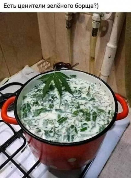 FB IMG 1619487636375